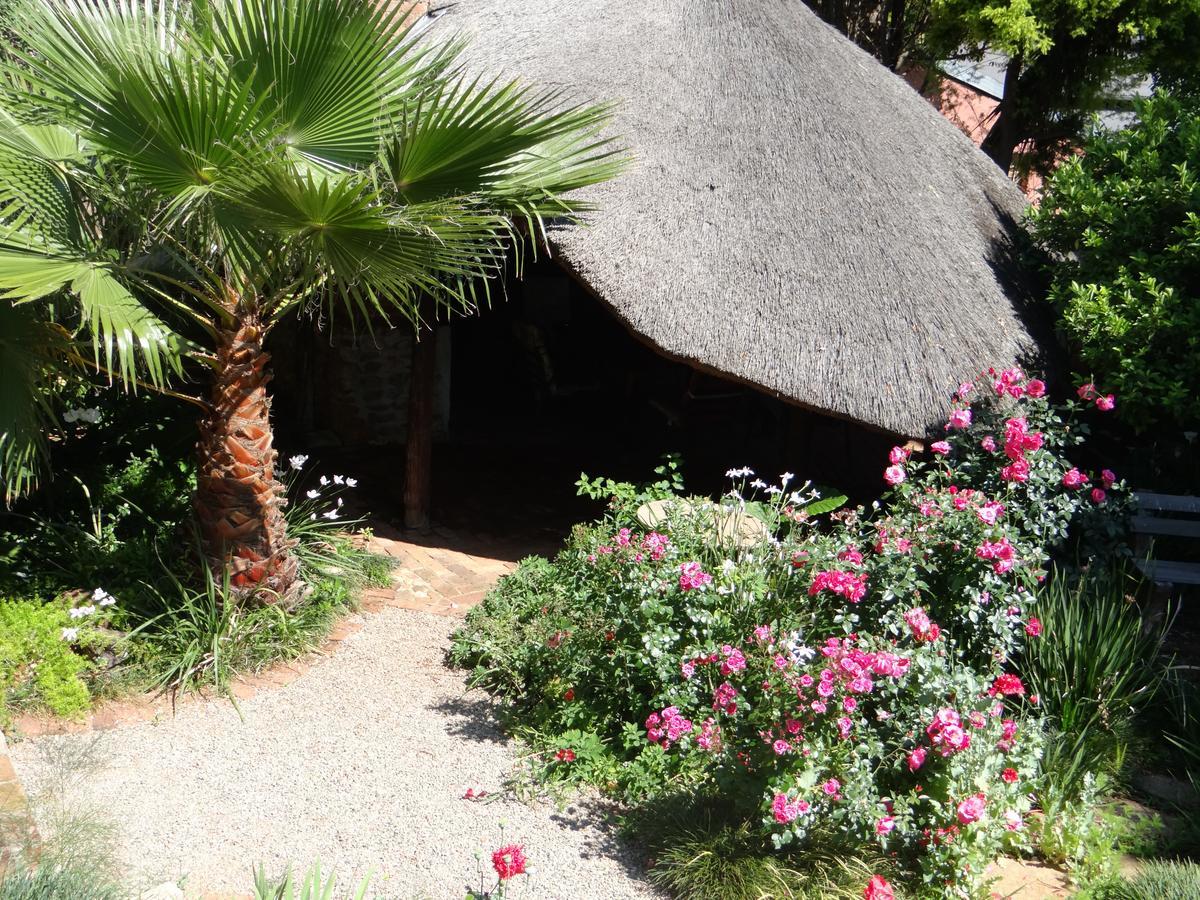 Agterplaas Guesthouse Pty Ltd Johannesburg Ngoại thất bức ảnh